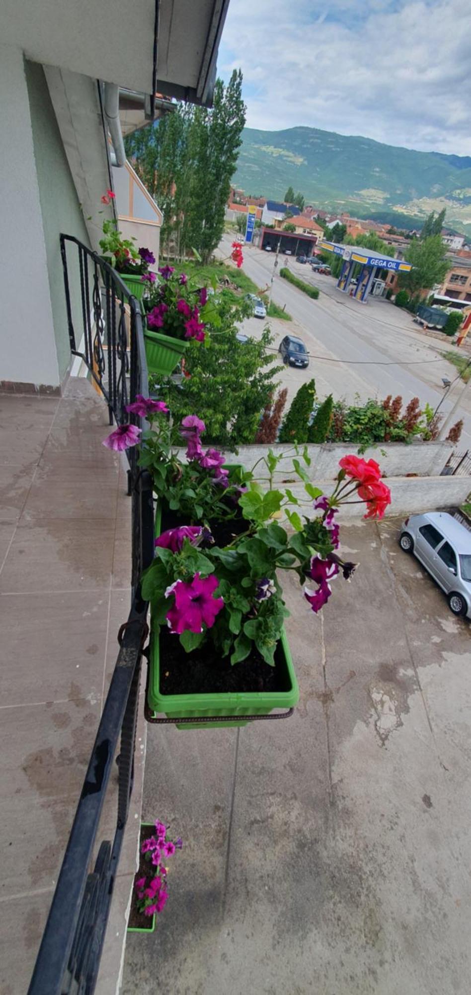 Arbi Guest House Kukes Buitenkant foto